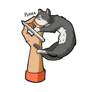 Коте п