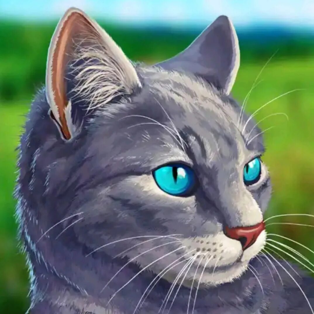 Cat simulator animal life 1.0 1.0. Кэт симулятор Энимал лайф. Симулятор кота жизнь котенка. Кэт симулятор Энимал лайф коты Воители. Симулятор кота ‑ жизнь к....