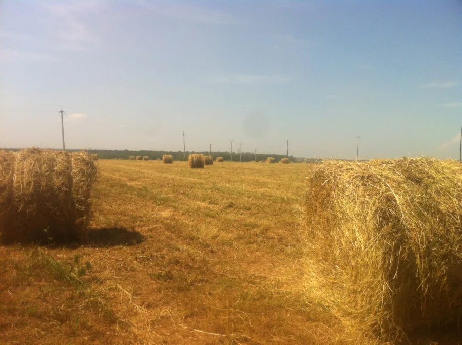 Стог. Сенокос шутка минутка. Сенная копна. Сенокос 2. Сенокос в разгаре.