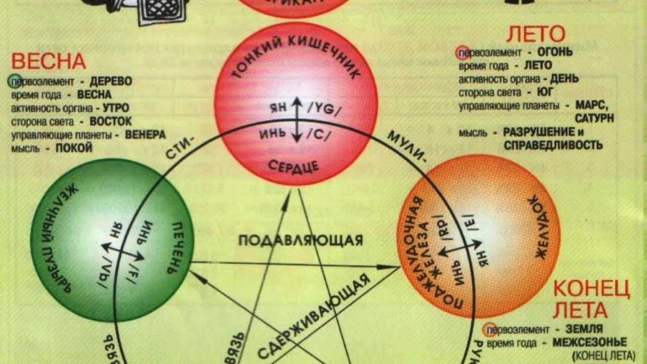 Связь органов человека. 5 Элементов стихий в теле человека. Стихии китайской медицины. 5 Элементов китайской медицины. Круг 5 элементов.