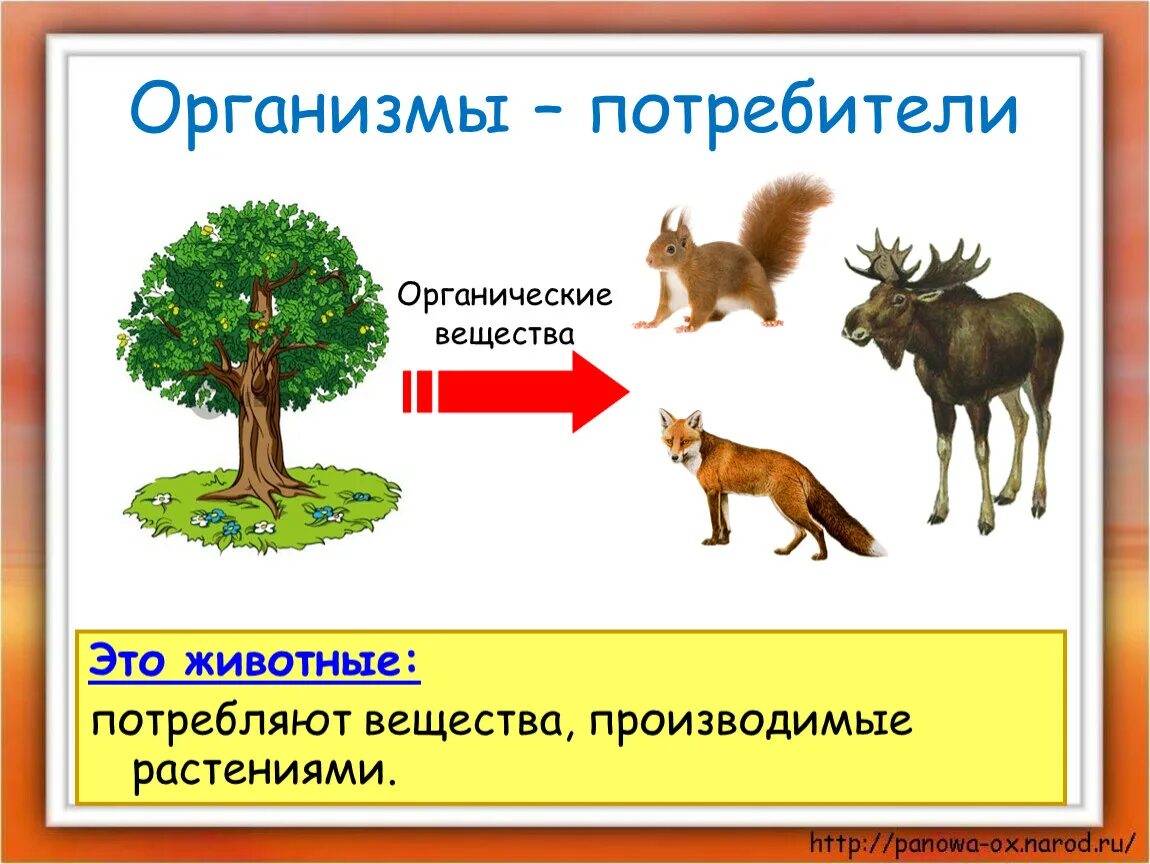 Организмы потребители. Организмы производители. Великий круговорот жизни. Великий круговорот жизни презентация.