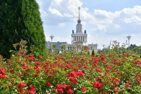 Тамбовская область на вднх