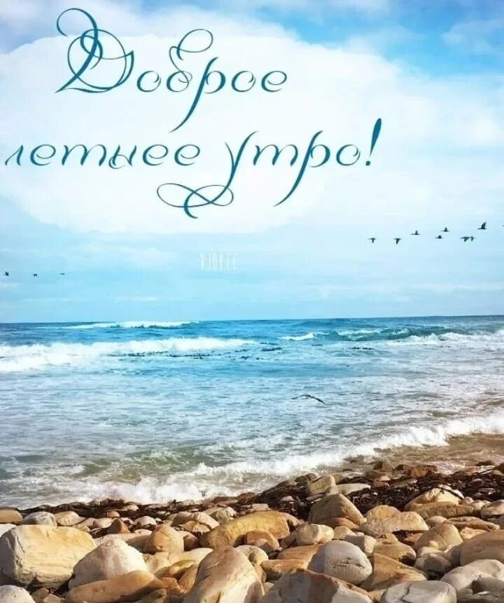 Добрый утро хорошего дня моря. Отличного дня море. доброе утро море. добрый день море. открытка море.