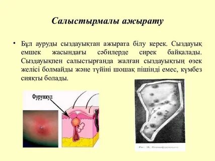 Онлайн аудармасы бар XXX фильм