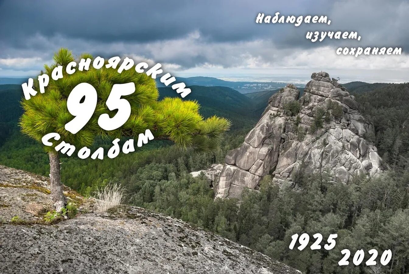 Сигнализационный комплекс кс 185. С 175 гардина сигнализационная система. Гладковские сопки. С-175 гардина. С 100 скала.