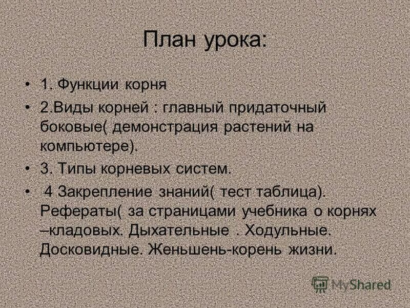 корневая система 6 класс биология. контрольная работа по биологии 6. корневая система по биологии 6 класс. вегетативные органы листа биология. тесты по биологии корневая система.