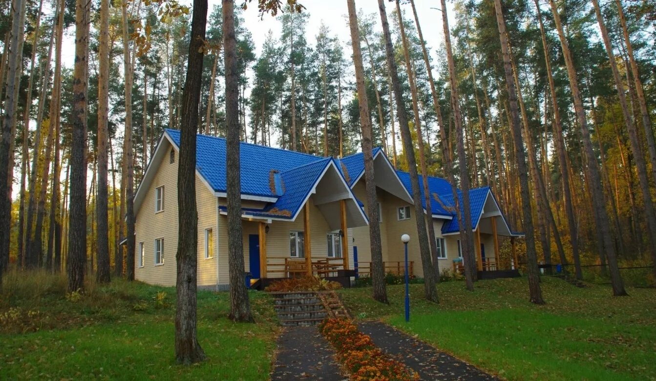 Пансионат Волга Нижегородская область. Пансионат Волга Балахнинский район. Отель Волга Балахна Нижегородская область. Пансионат Волга Нижегородская область Балахнинский район. Парк отель нижегородская область