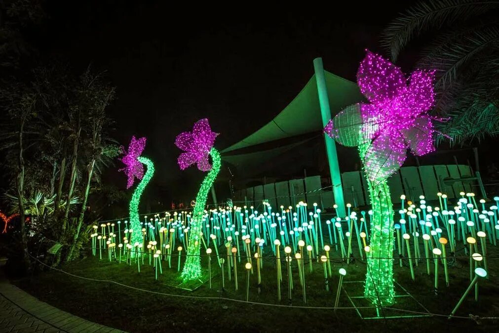 Светящийся парк в дубае. Ландшафтная подсветка деревьев. Глоу парк в дубае. Светящийся парк. Глоу парк в дубае.