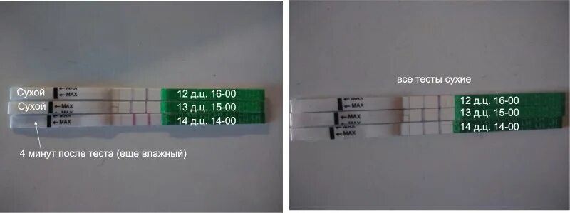 Тест на овуляцию тестовая полоска яркая. Слабая тестовая полоска на тесте на овуляцию. Тест на овуляцию слабая вторая полоска. Вторая полоска на тесте овуляции. Забеременеть на следующий день после овуляции