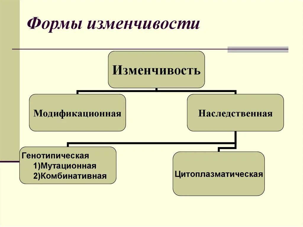 Какие типы изменчивости присущи. Основные формы генотипической изменчивости. формы наследственной изменчивости. формы изменчивости биология 10 класс. основные формы изменчивости генотипическая изменчивость.