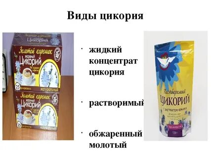 Кому нельзя цикорий