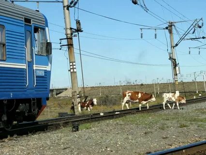 За вагоном проходит