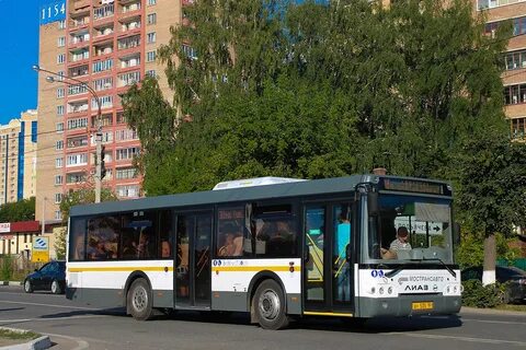 Транспорт дмитров
