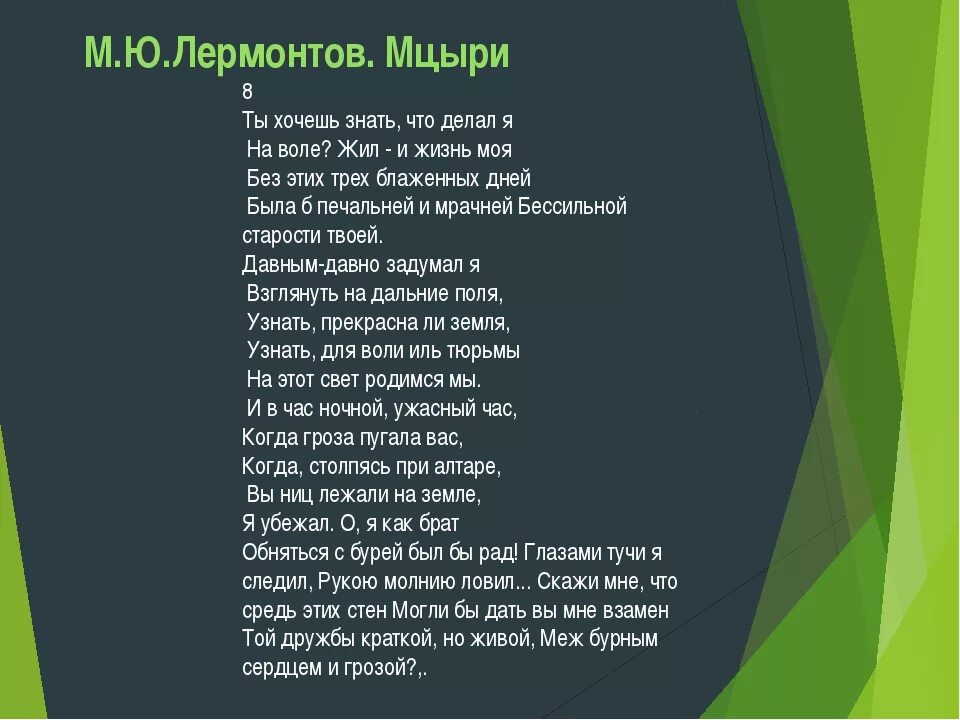 Мцыри ты хочешь знать что делал