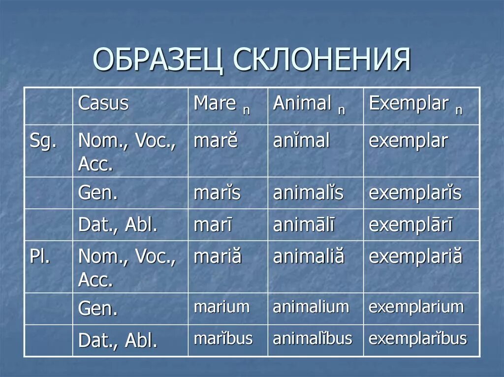 Склонения. Склонение образец. Просклонять образец. Третий просклонять. Просклонять скворец