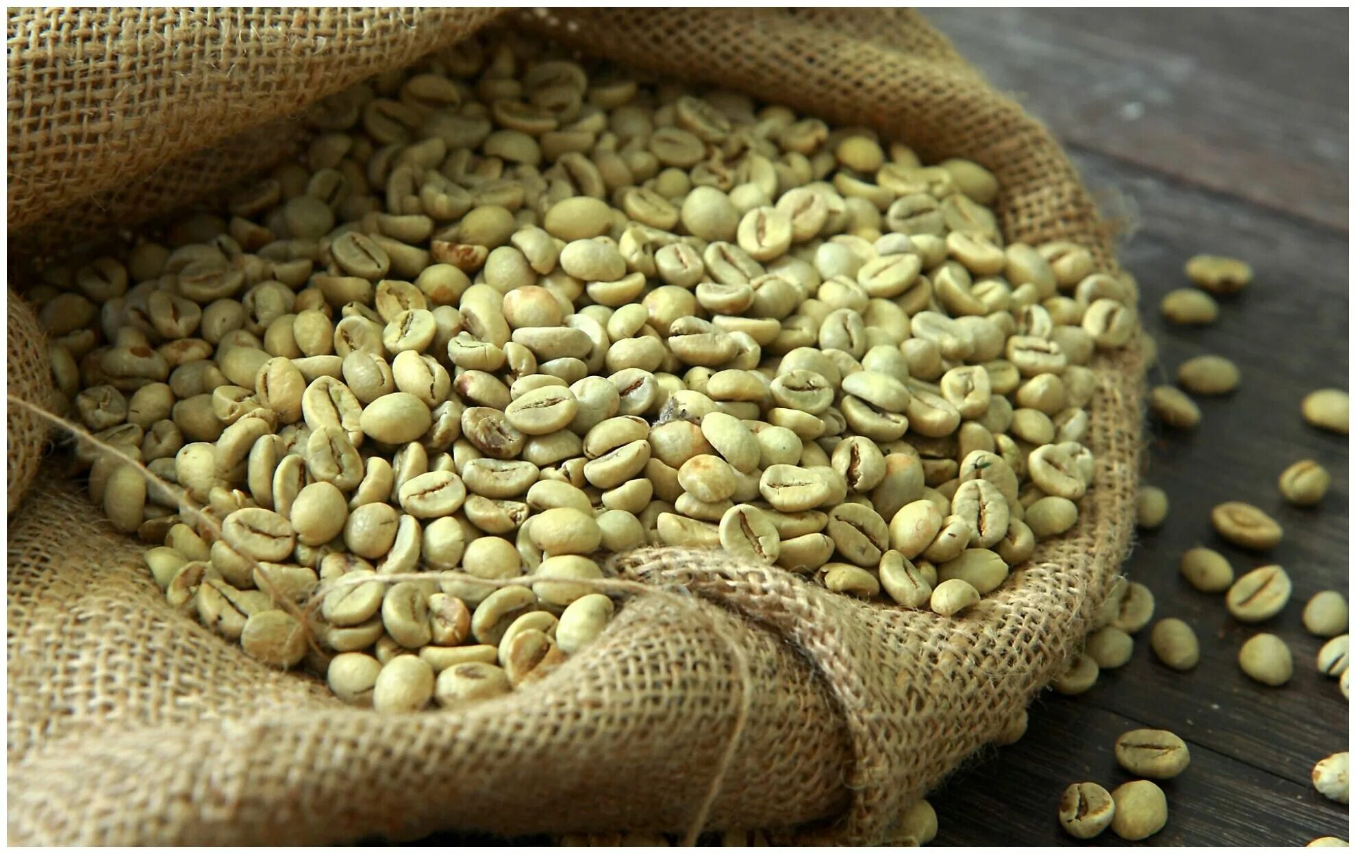 зеленый кофе в зернах. кофе зеленый зерновой. зеленый вьетнамский кофе. кофейные зерна необжаренные. кофе зеленые бобы.