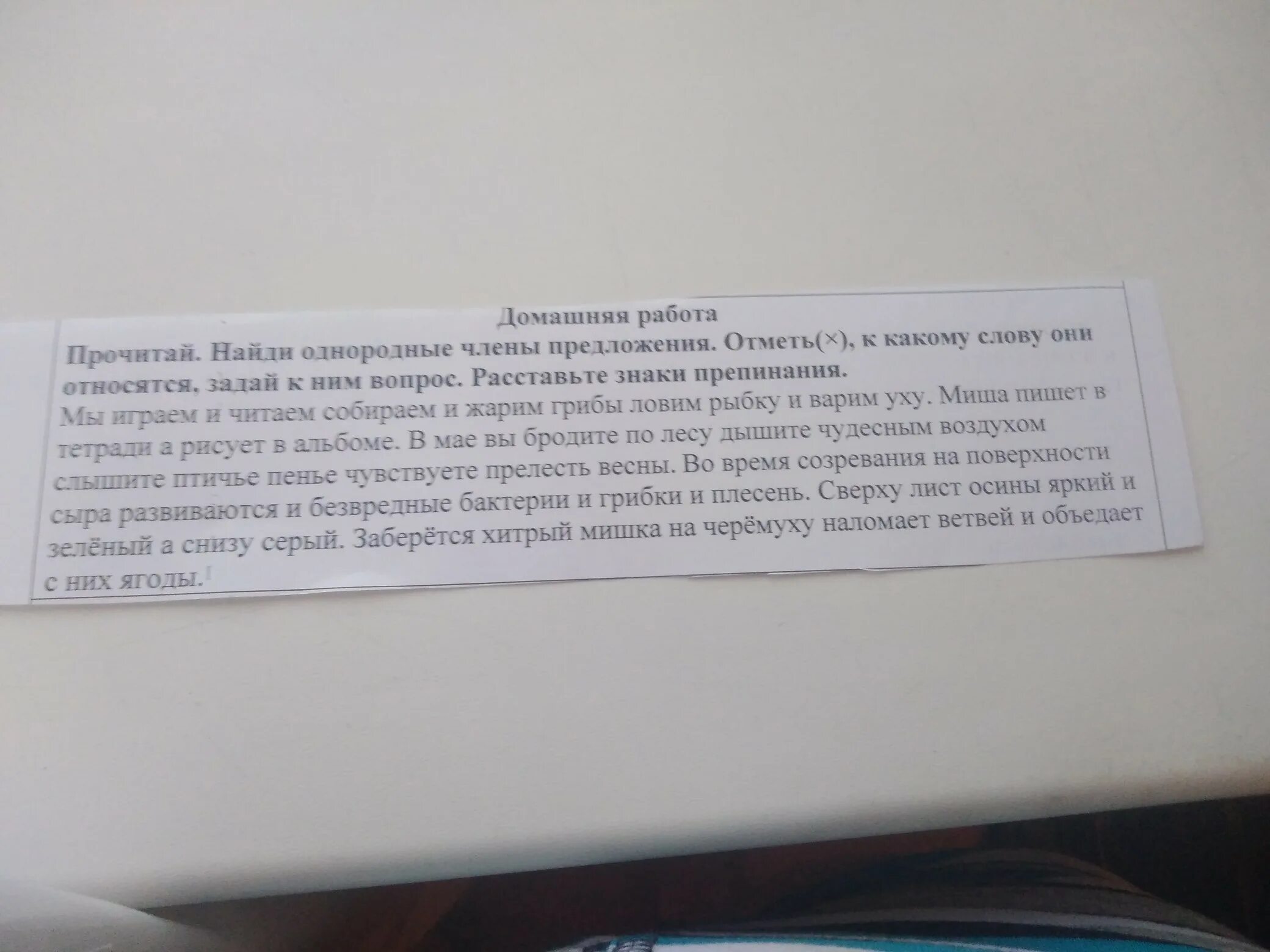 Прочитай текст расставь где нужно запятые. Прочитайте Найдите предложения с однородными. Найдите и прочитайте предложения с однородными членами.