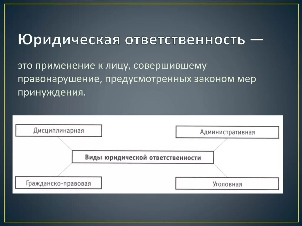 Применение к лицам совершившим правонарушение