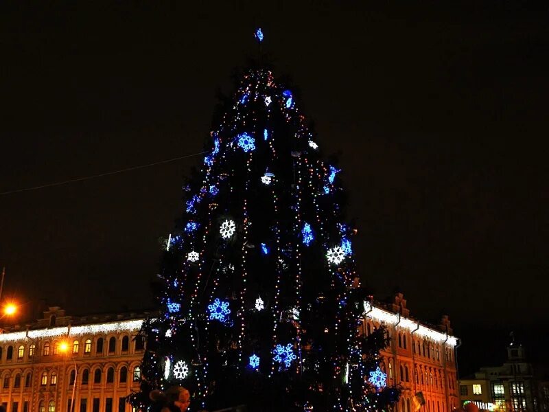 елка в вологде на площади революции 2021. елка в вологде на площади. площадь революции вологда.