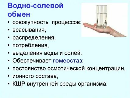 Водный обмен