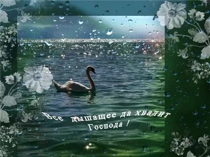 Всякое дыхание