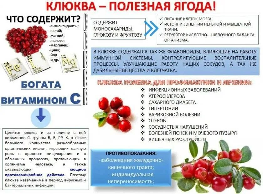 Можно ли пить при онкологии