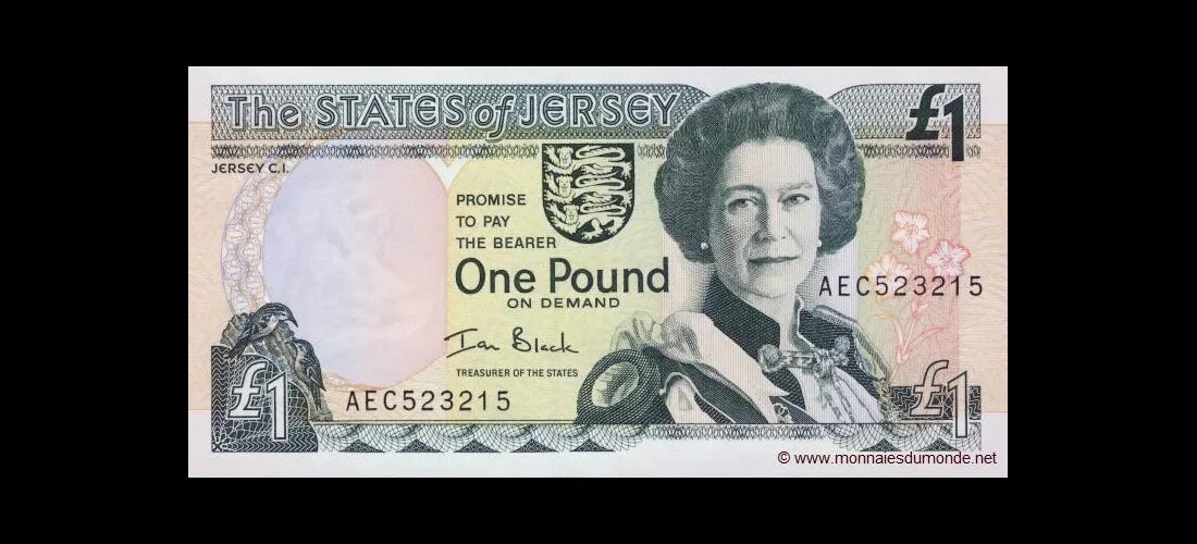 Банкнота Ямайки 1 фунт с Елизаветой. Банкноты джерси. 1 Фунт в рублях. One pound в рублях.