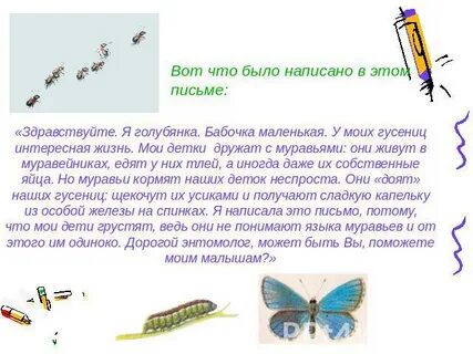 Бабочка составить слова