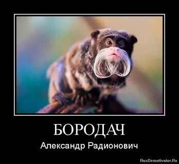 Пррро