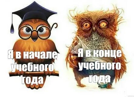В начале учебного