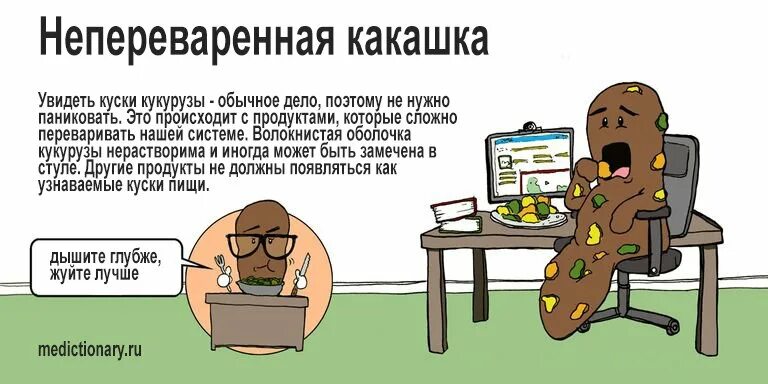 Название какашки. Виды какашек. Откуда появляется какашка. Как образуются какашки. Из чего состоят какашки.