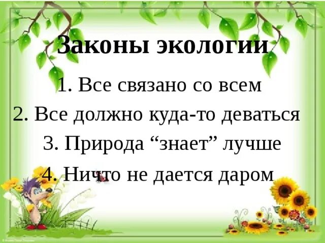 10 экологических законов. Законы экологии. Все законы экологии. Все связано со всем экология. Экологические законы природы.