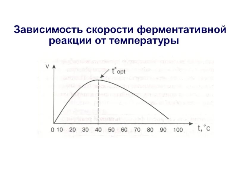 График зависимости скорости реакции. График зависимости скорости ферментативной реакции от температуры. зависимость скорости ферментативной реакции от рн среды. зависимость скорости ферментативной реакции от температуры и рн. график зависимости скорости ферментативной реакции от рн среды.