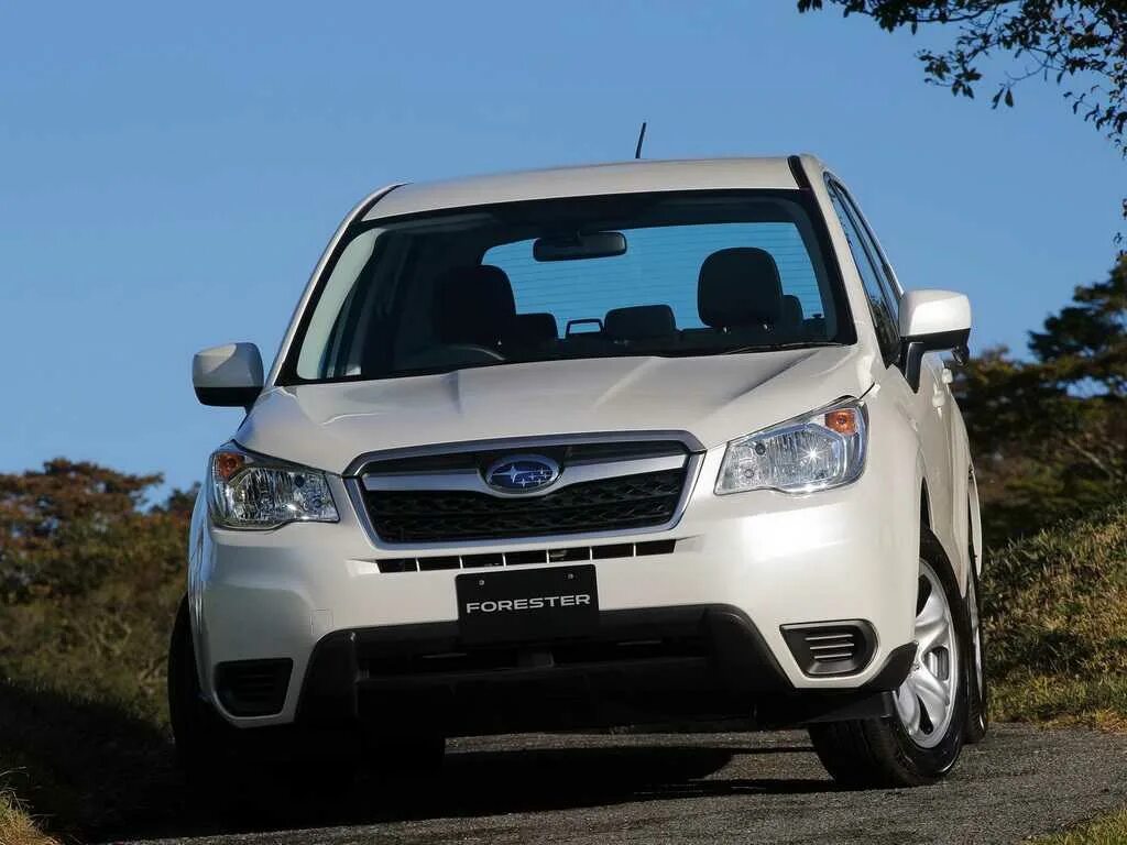 Куплю форестер 2014 года. Subaru Forester 2013. Субару Forester 2013. Subaru Forester 2014. Subaru Forester (2013-2014.