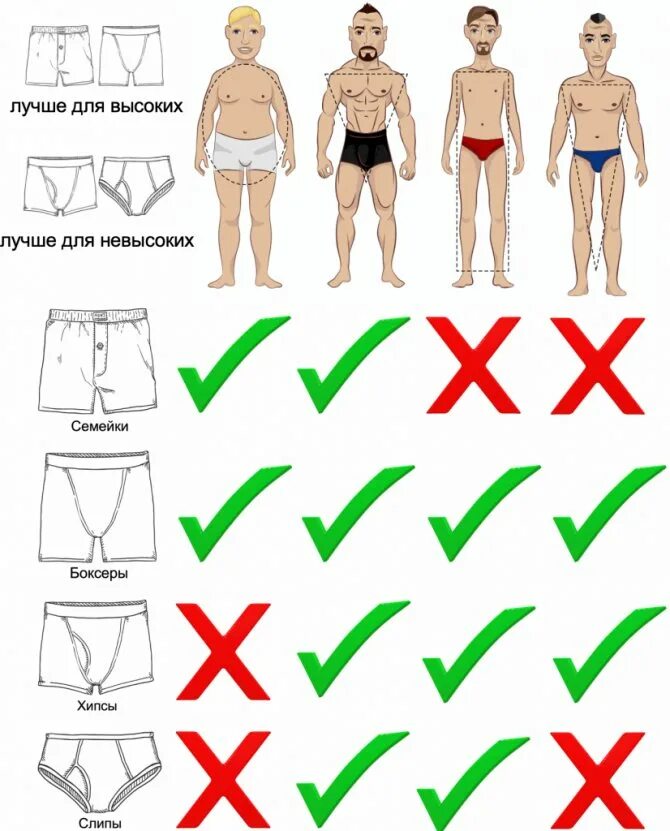 Мужские трусы по форме. Типы мужских плавок. Правильное нижнее белье для мужчин. Размеры плавок мужских. Правильные мужские трусы