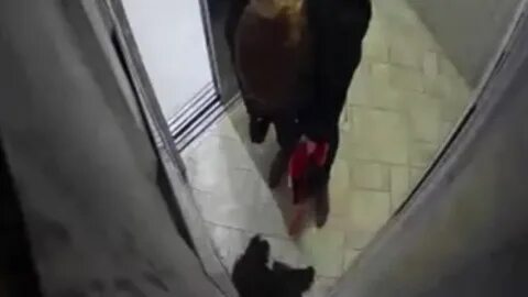Избил в лифте