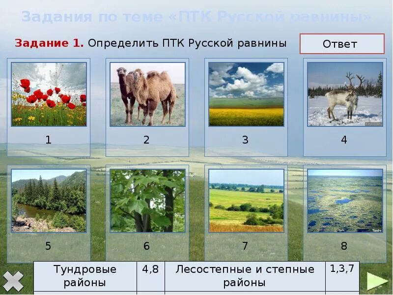 Птк россии 8. Природный территориальный комплекс. Виды природно-территориальных комплексов. Природно-территориальные комплексы России. Название природно-территориального комплекса.