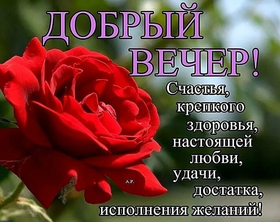 Добрый вечер хорошему человеку. Хорошего вечера и отличного настроения. Добрый вечер желаю здоровья. Добрый вечер желаю здоровья. Красивые поздравления с добрым вечером.