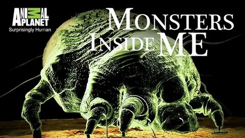 Monster inside