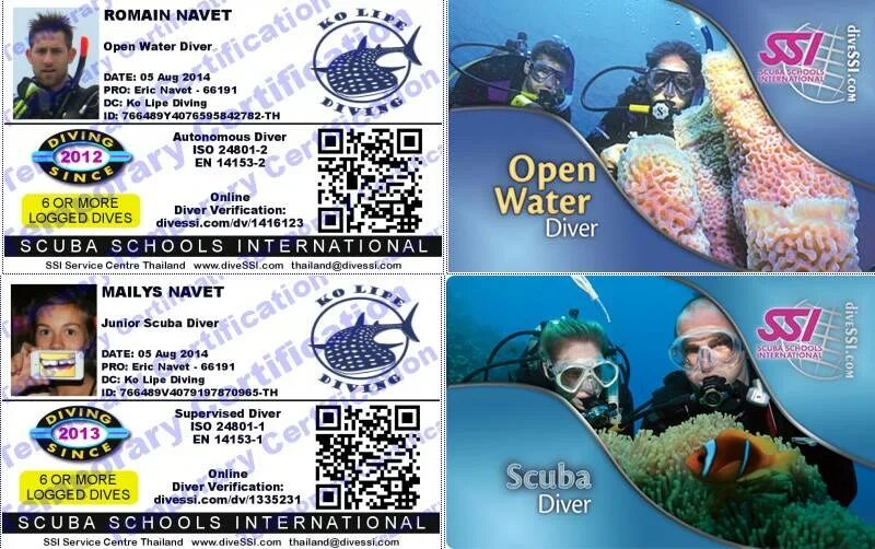 Open Water Diver сертификат. Padi OWD сертификат. Сертификат дайвера Padi. Лицензией open Water Diver.