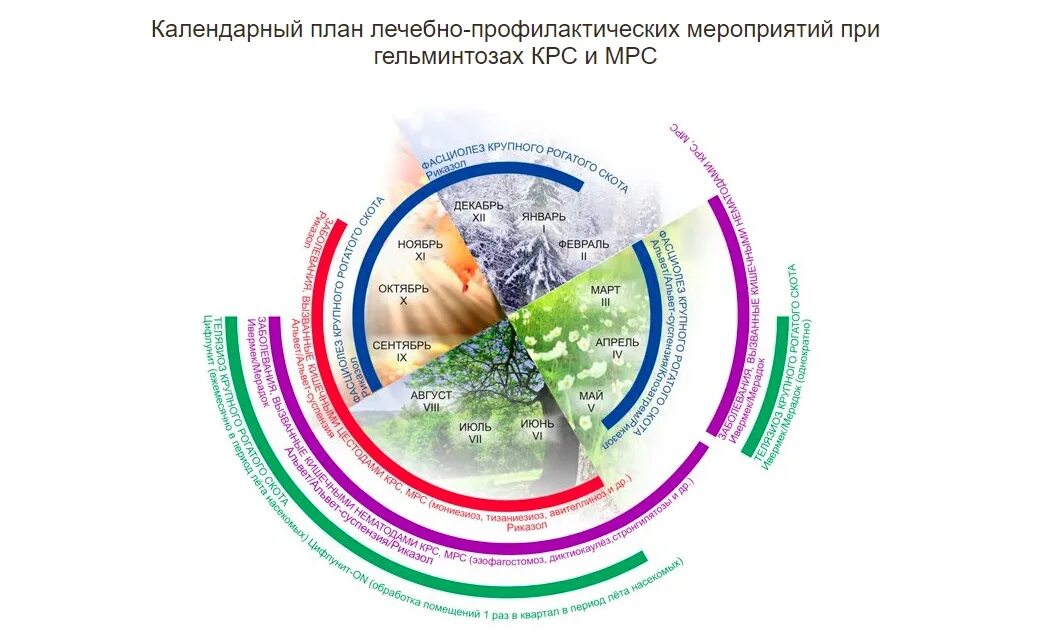 План лечебно профилактических. Планирование противопаразитарных мероприятий. план противопаразитарных мероприятий. противопаразитарные мероприятия. противопаразитарная программа.