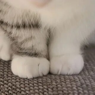 Мягонький