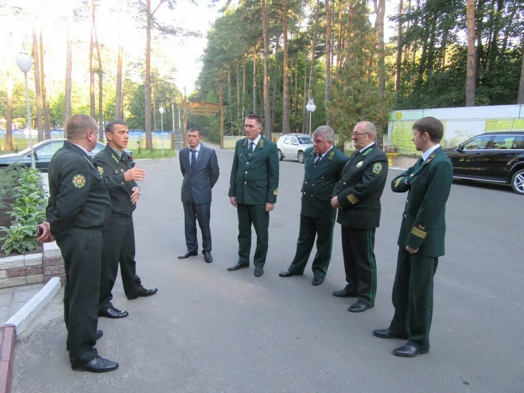 гомельское лесничество