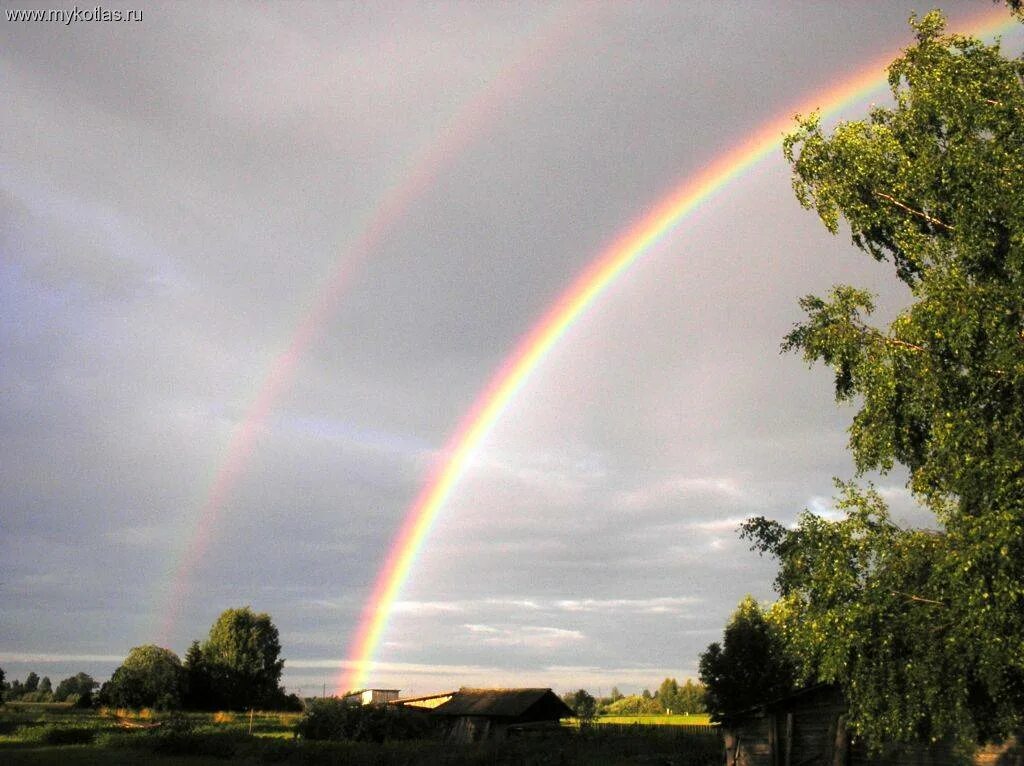радуга описание для детей. радужная 2. отчего появляется радуга. радуга 2 читать. двойная радуга.