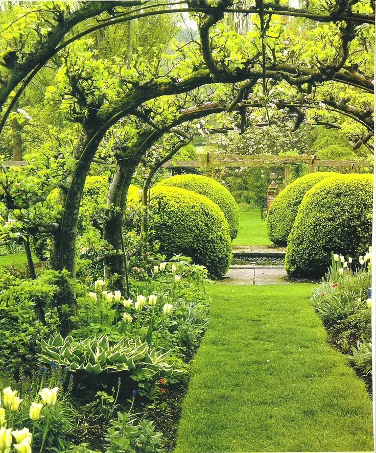 My tree garden