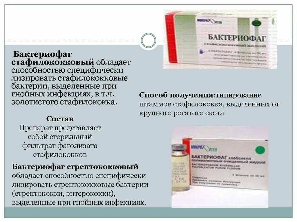 Бактериофаги стафилококковые инструкция по применению взрослым. Бактериофаги стафилококковые инструкция по применению взрослым