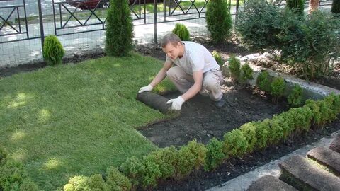 Вакансия ландшафт