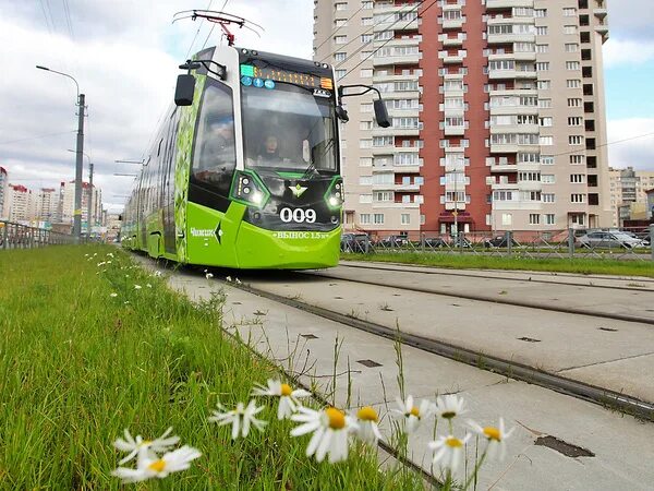 Чижик коломна. Город коломна ул октябрьской революции 318. Дискаунтеры чижик. Чижик коломна. Чижик, коломна, проспект кирова.