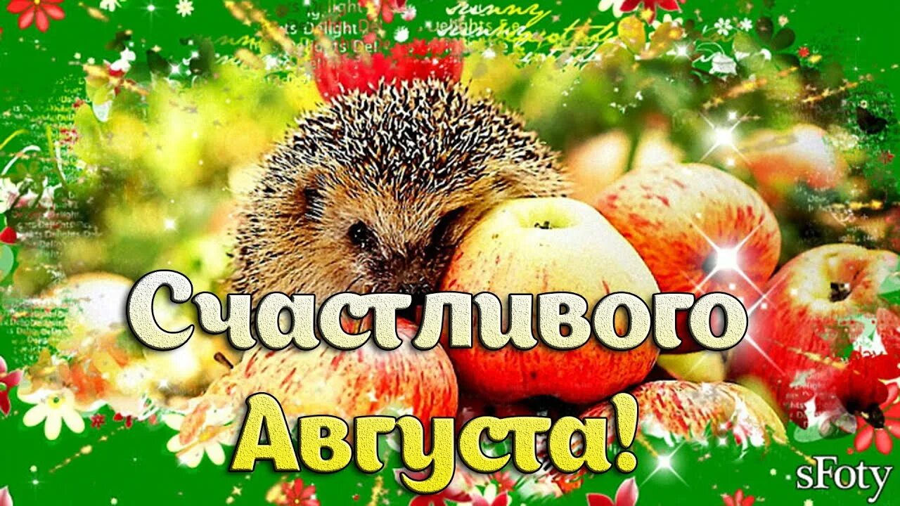 Мой счастливый август. Мой счастливый август. С первым днем августа. Доброе августовское утро. Август это кусочек лета.