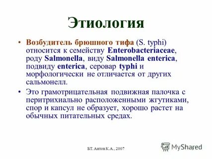 Брюшной тиф анализ